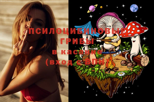 гашик Алзамай
