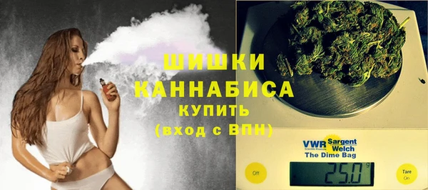 гашик Алзамай